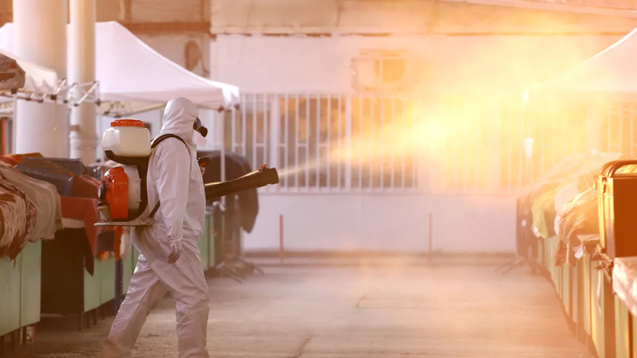 dịch vụ diệt côn trùng - khử khuẩn kill pests tại thành phố hồ chí minh