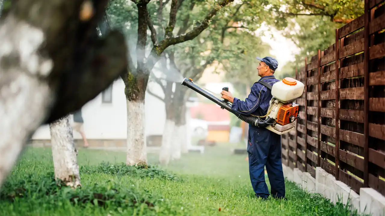 Phun thuốc phòng ngừa và kiểm soát muỗi