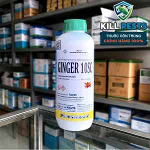 Ginger 10SC - Thuốc diệt côn trùng Ấn Độ