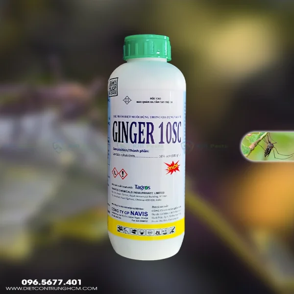 Ginger 10SC thuốc diệt muỗi và côn trùng Ấn Độ