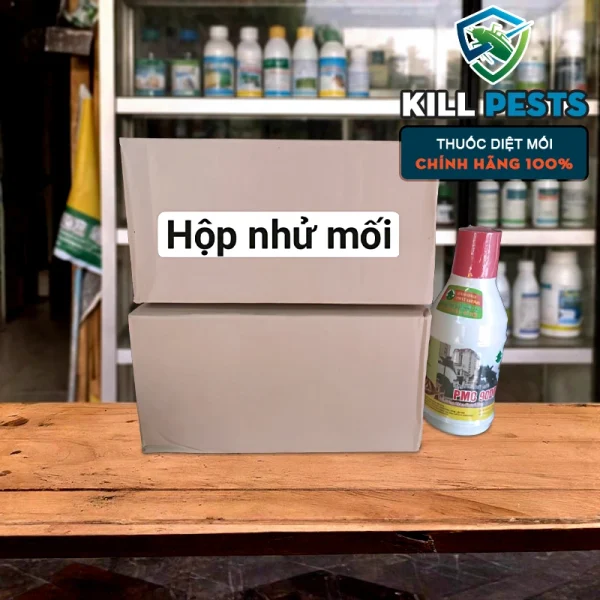 Hộp nhử mối