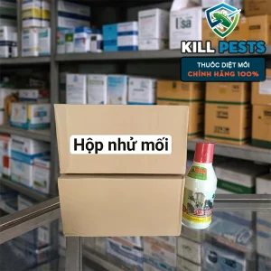 Hộp nhử mối