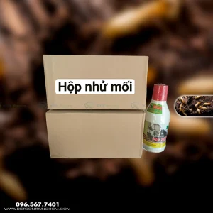 Hộp nhử mối + PMC 90DP