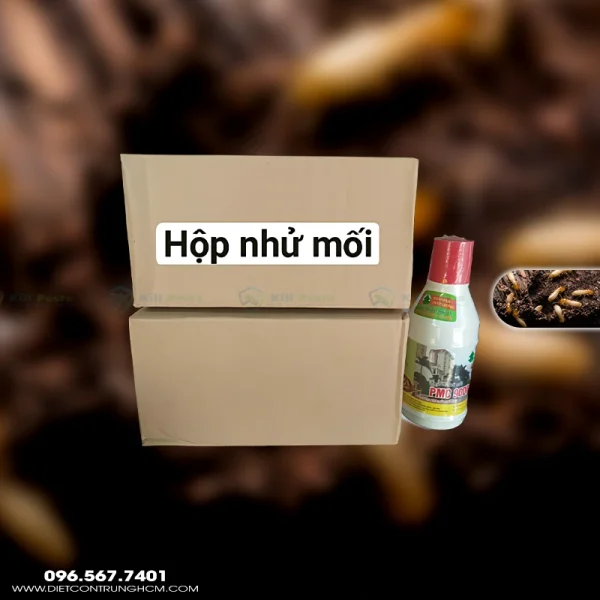Hộp nhử mối + PMC 90DP