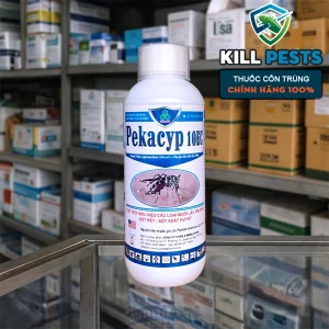 PekaCyp 10EC - Thuốc diệt muỗi, côn trùng giá rẻ Kiên Nam