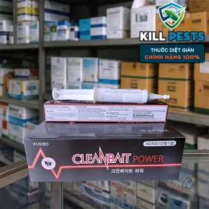 Cleanbait power - Bả diệt gián đức Hàn Quốc