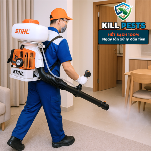 Dịch vụ diệt bọ chét, ve chó (700K) – Diệt tận gốc lên đến 100%